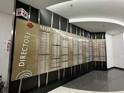 Mount Elizabeth Hospital (D9), Retail #528450721